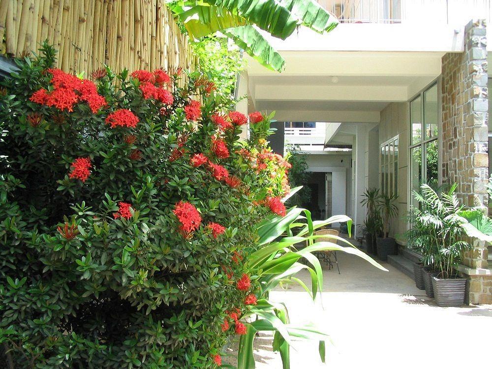 Frangipani Villa-60S Phnom Penh Bagian luar foto